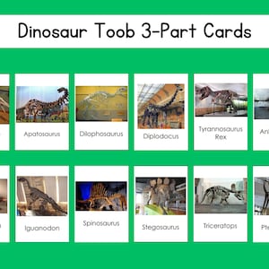 Dinosaur Safari Toob Juego de cartas de 3 partes Archivo digital