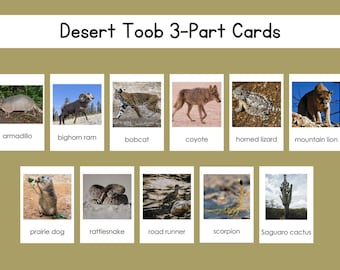 Desert Safari Toob 3-delige kaartenset digitaal bestand
