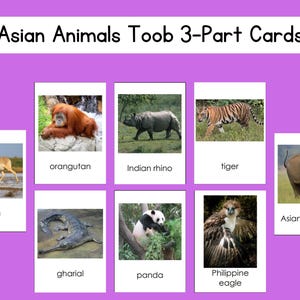 Asiatische Tiere Safari Toob 3-teiliges Kartenset Digitale Datei