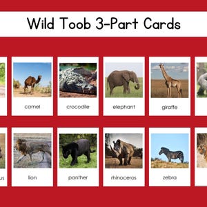 Wild Safari Toob 3-Part Card Set Digital File