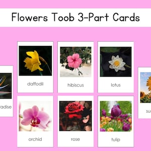 Zestaw 3 kartek Flower Safari Toob w formacie cyfrowym