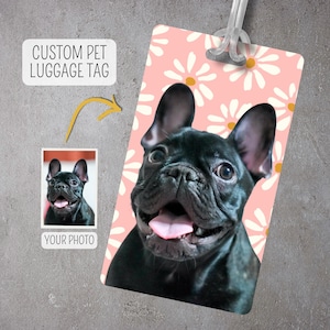 Könnte beinhalten: Personalisiertes Gepäckanhänger für Haustiere mit rosa Hintergrund und weißem Gänseblümchenmuster. Ein schwarzer Französischer Bulldogge mit herausgestreckter Zunge ist auf dem Anhänger abgebildet.