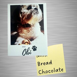 Personalized Pet Magnet. Wooden and UV printed perfect for pet loss.