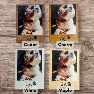 Custom pet photo magnet featuring a Shih Tzu named Obi, UV-printed on wood with paw print. Perfect for personalized pet memorial gift, pet lover gift, or home decor. Cheris your furry friend with this unique gift for dog lovers. Doodle, frenchie.