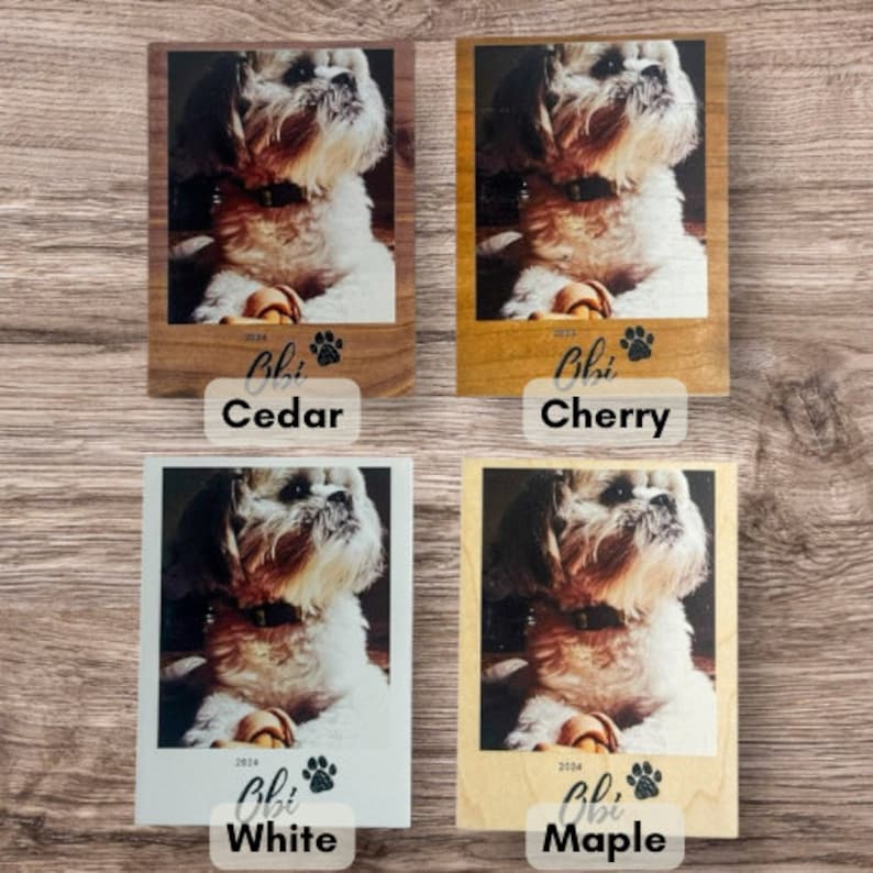 Custom pet photo magnet featuring a Shih Tzu named Obi, UV-printed on wood with paw print. Perfect for personalized pet memorial gift, pet lover gift, or home decor. Cheris your furry friend with this unique gift for dog lovers. Doodle, frenchie.