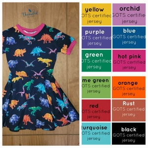 Robe patineuse de dinosaure PERSONNALISABLE avec poches, robe de dinosaure, vêtements de dinosaure pour filles, robe d'été