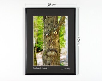 Natural creatures photography, faces in trees, magical forest spirit, poster