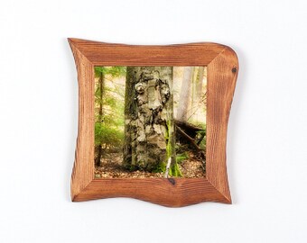 Forest art photography in a wooden frame, unique, natural creatures, faces in trees, magical forest spirit, 15 x 15 cm