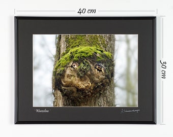 Natural creatures photography, faces in trees, magical forest spirit, poster