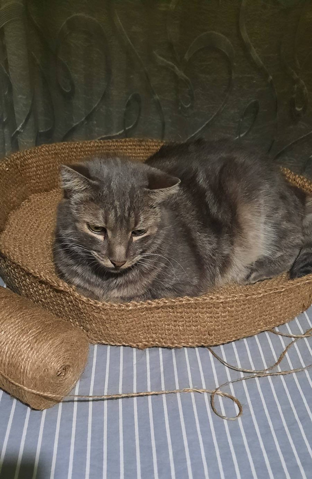 Crocheted Cat Bed Etsy