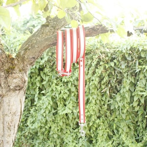 Peut inclure: Un ensemble de laisses pour chien à rayures rouges et blanches suspendues à une branche d'arbre. Les laisses sont faites d'un matériau durable et ont un clip métallique à l'extrémité.