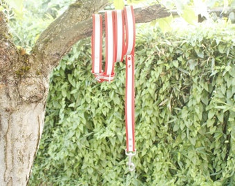 3/4" Hand-free Biothane Leash | Waterproof Biothane Leash | Waterproof Leash | Multi-Function Leash | Dog Leash | Reflective | Biothane