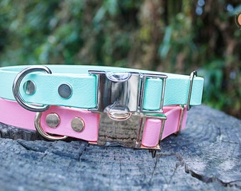 3/4" Biothane Collar | Waterproof Biothane Collar | Waterproof Collar | Dog Collar | Cat Collar | Leash | Dog Collar | Cat Gear | Biothane