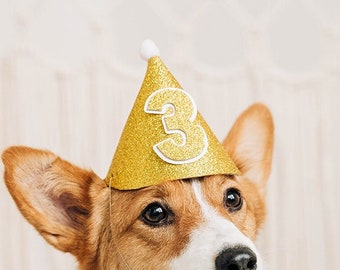 Dog Birthday Hat | Cat Barkday Hat | Puppy Birthday Hat | Gold Birthday Hat | Dog | Cat | Cake | Pawty | Party | Celebrate | Personalized