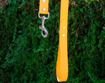 3/4" 4 or 6ft Biothane Leash | Waterproof Biothane Leash | Waterproof Leash | Dog Leash | Cat Leash | Leash | Dog Gear | Cat Gear |Biothane