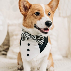 Black Tuxedo Bandana | Dog Bandana | Cat Bandana | Snap On Bandana | Pet Accessory | Groom | Dog Ring Bearer | I do | Wedding | Personalized