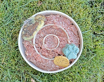 Ceramic Slow Feeder Bowl | Slow Feeder Bowl | Pet Bowl | Dog Bowl | Cat Bowl | Enrichment Bowl | Ceramic Bowl | Handmade Bowl | 3 Rings Bowl