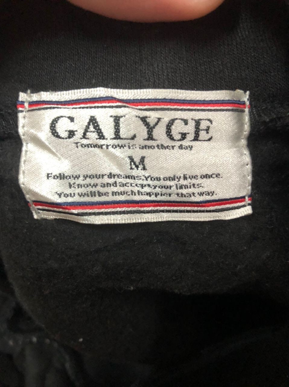 Vintage Galyge Embroidery Spell Out Big Logo Hoodie Sweatshirt 