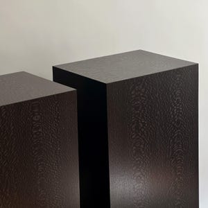 Black Lacewood Veneer Plinth: Modern Side Table or Nightstand