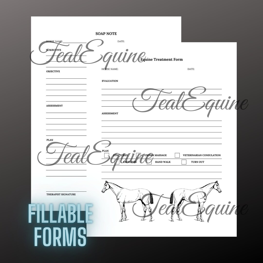 Equine Massage Assessment Form Etsy