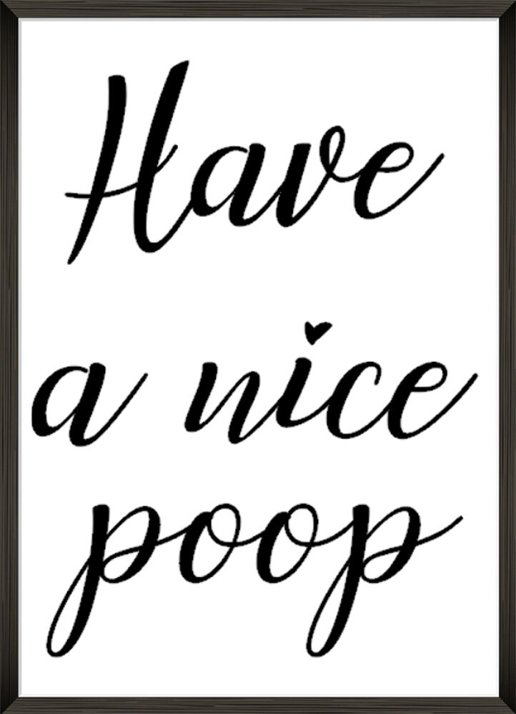 HAVE A NICE POOP Bathroom Print Funny Décor Gift Minimalist Fun Prints