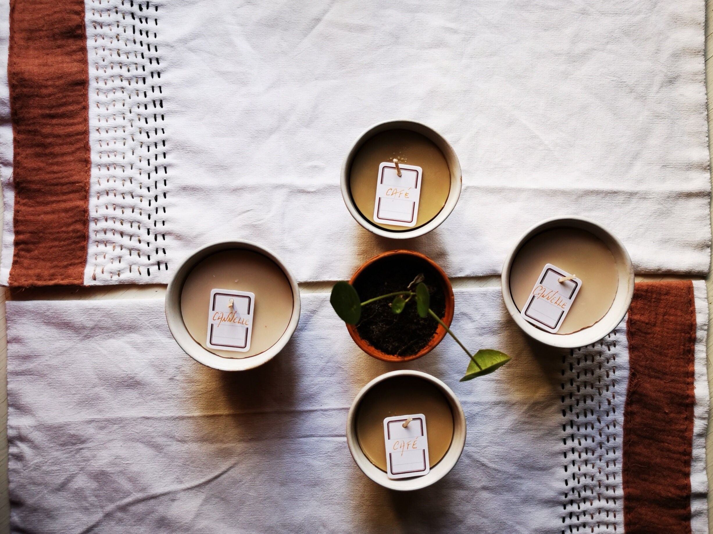 Bougies Senteur Cannelle