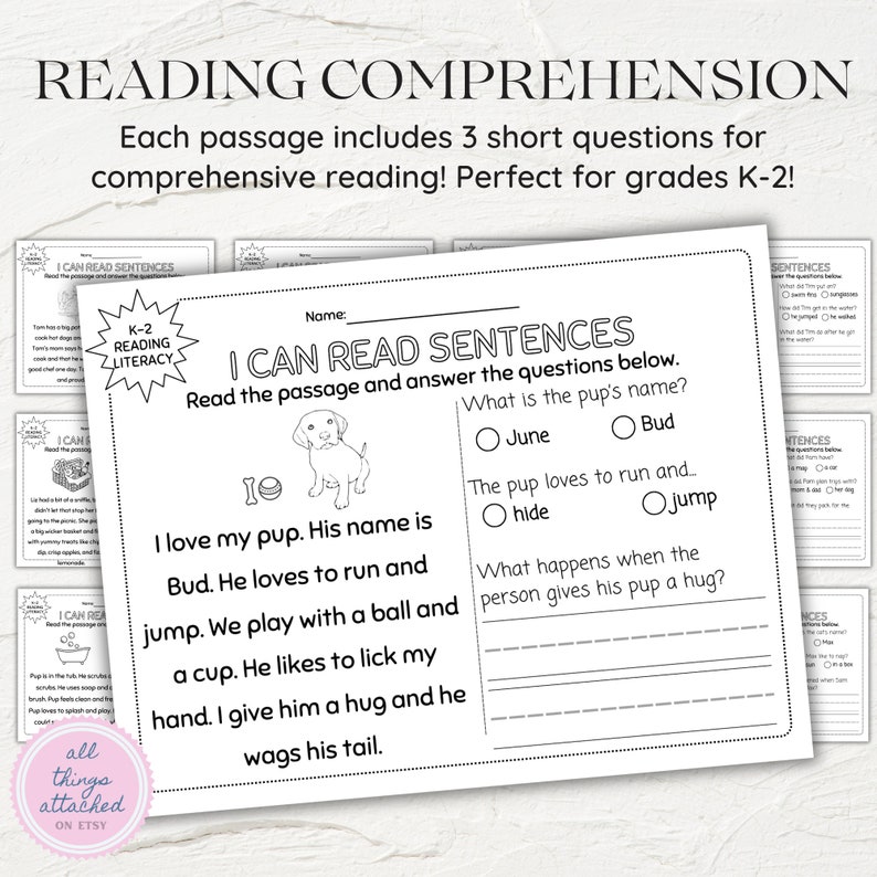 Sample Reading Questions Reading Comprehension Worksheets | Printable First Grade Reading ...