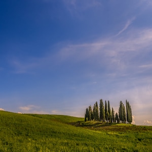 Toskana Landschaft Leinwand Druck, Cipressi di San Quirico d’Orcia, Zypressen Fotografie, Wohnzimmer Wanddekoration, blauer Himmel und Bäume