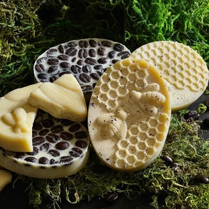 Coffee Bean Massage Bar, Solid Lotion, Massage Bar, Shea Butter, Cocoa Butter, Coconut Oil, Self Care, Handmade