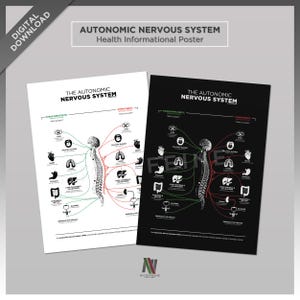 Puede incluir: Un póster infográfico en blanco y negro que ilustra el sistema nervioso autónomo. El póster muestra los sistemas nervioso simpático y parasimpático y sus efectos en varios órganos del cuerpo. El póster incluye etiquetas de texto para cada órgano y sistema.