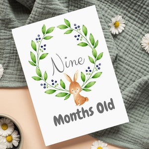 Tarjetas de hitos para bebés con animales del bosque, juego de 15 tarjetas con acuarelas de animales del bosque, idea de regalo unisex para baby shower de género neutro
