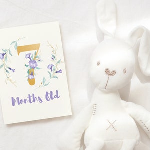 DIGITAL DOWNLOAD Set di carte floreali Milestone mensili di 12, Set di carte di fiori viola e oro dell'acquerello di mesi Set di 12, Regalo Babyshower ragazza,