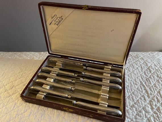 Set of 9 French vintage flatware knives in silver-plated with their case