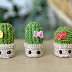 Handmade Small Crochet Cactus