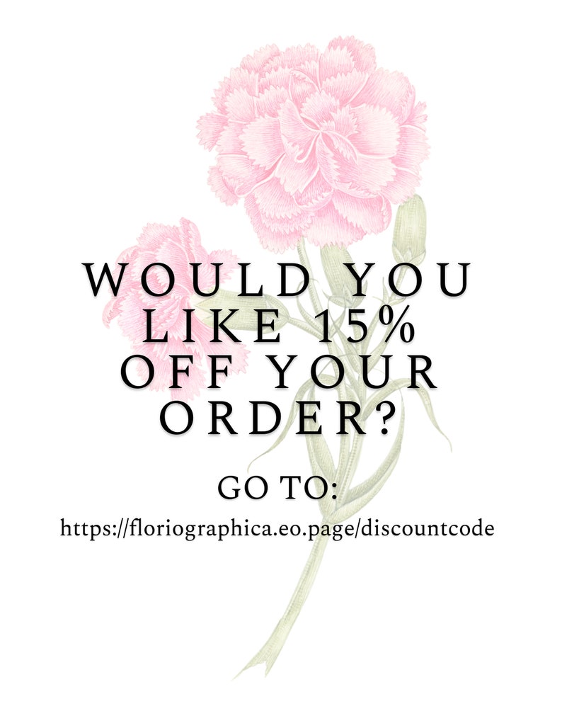 K&ouml;nnte beinhalten: Eine rosa Nelke mit gr&uuml;nen Bl&auml;ttern und dem Text "M&ouml;chten Sie 15% Rabatt auf Ihre Bestellung? Gehen Sie zu: https://floriographica.eo.page/discountcode"