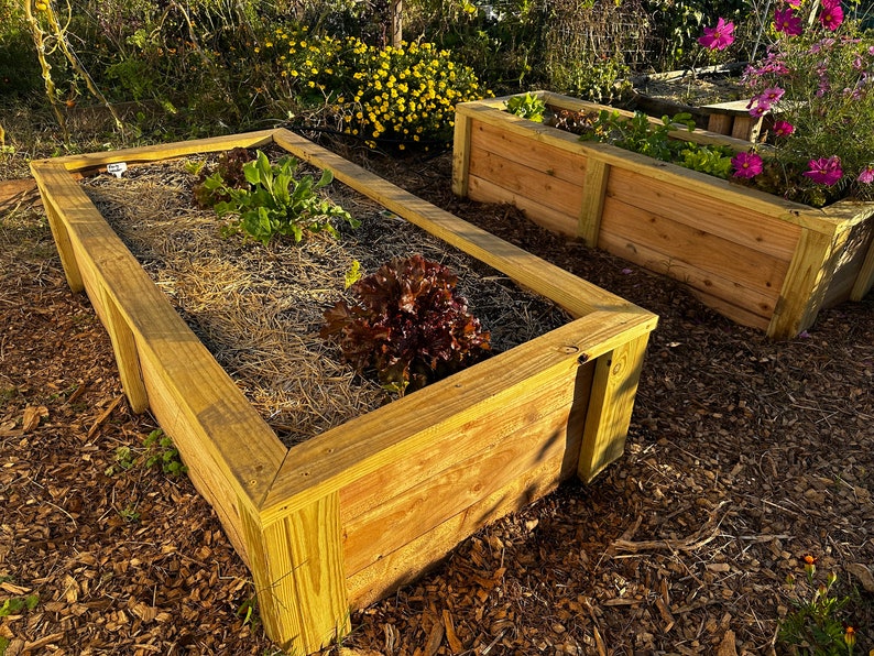 3 X 6 DIY Raised Garden Bed Plans Build an Affordable, Durable