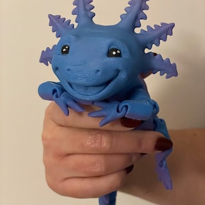 Big Smile Axolotl Fidget Toy