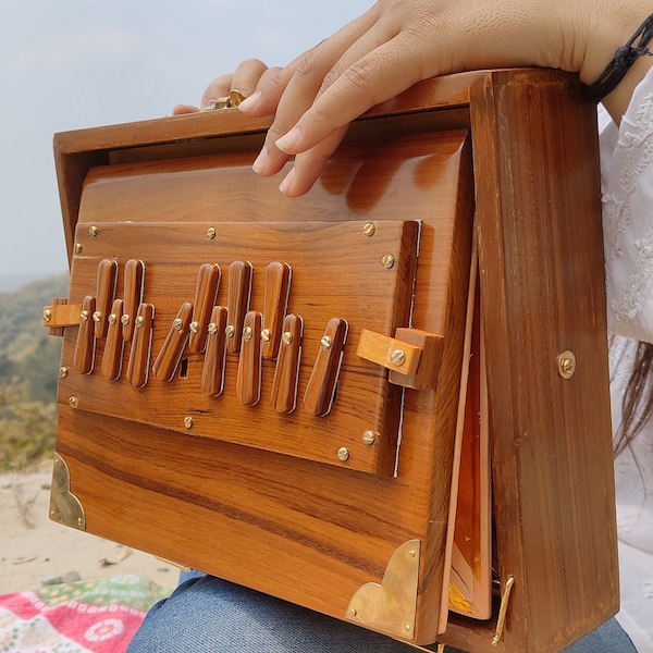 Shruti Box mit 13 Note Tuned 432 Hertz / Gepolsterte Tragetasche / Hergestellt aus Teak Holz / Indisches Instrument / Hohe Qualität / Professionelle Handarbeit