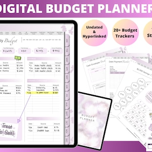 Digital Budget Planner, iPad Budget Planner, Goodnotes Digital Planner, Monthly Budget