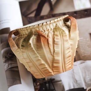 May include: A small, cream-colored ceramic planter with two handles. The planter is decorated with a raised design of fern leaves.