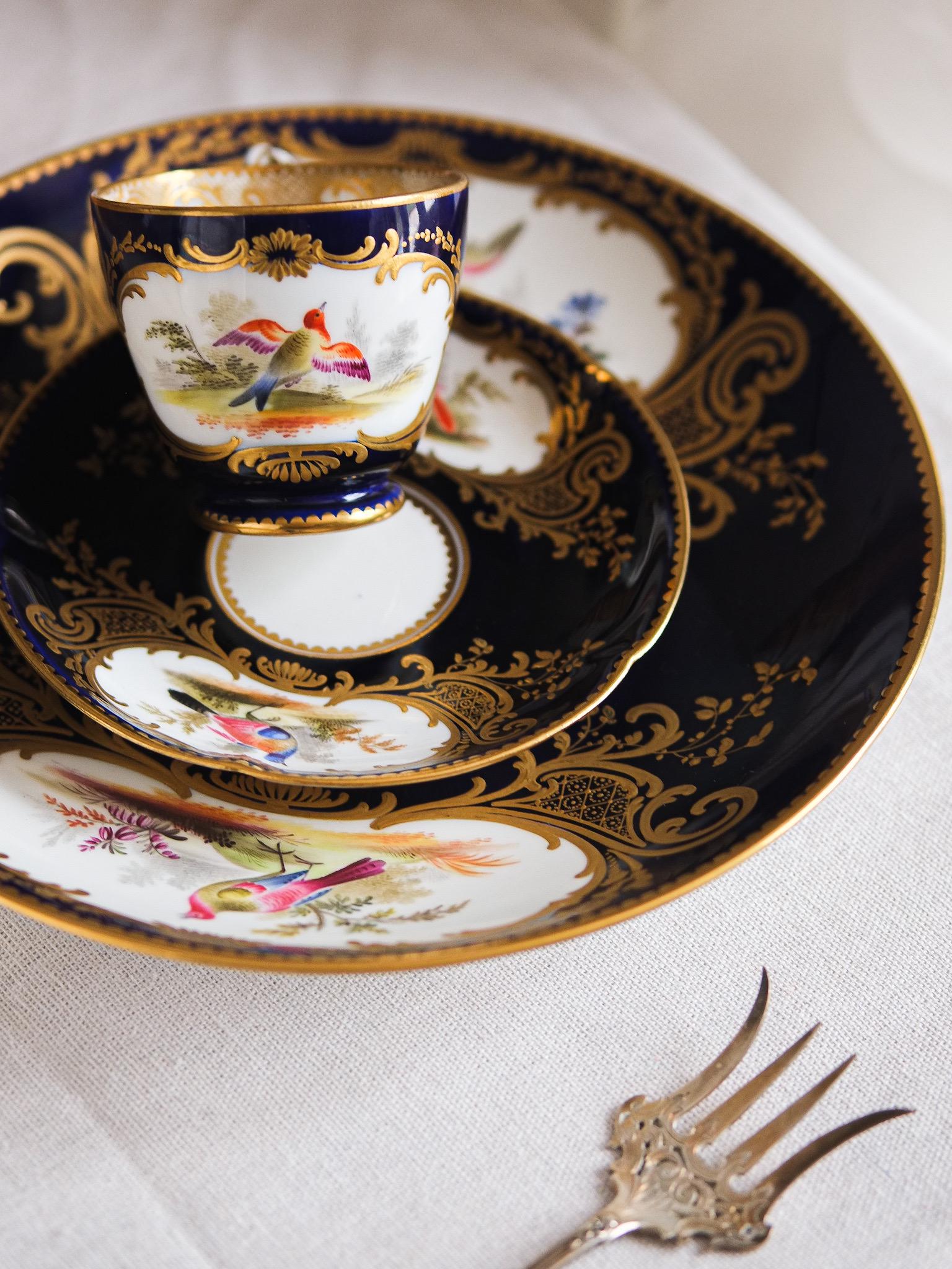 Coalport Plate 1850s - Etsy