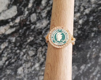 Sterling Silver Family Crest Ring with White Stones, Customizable