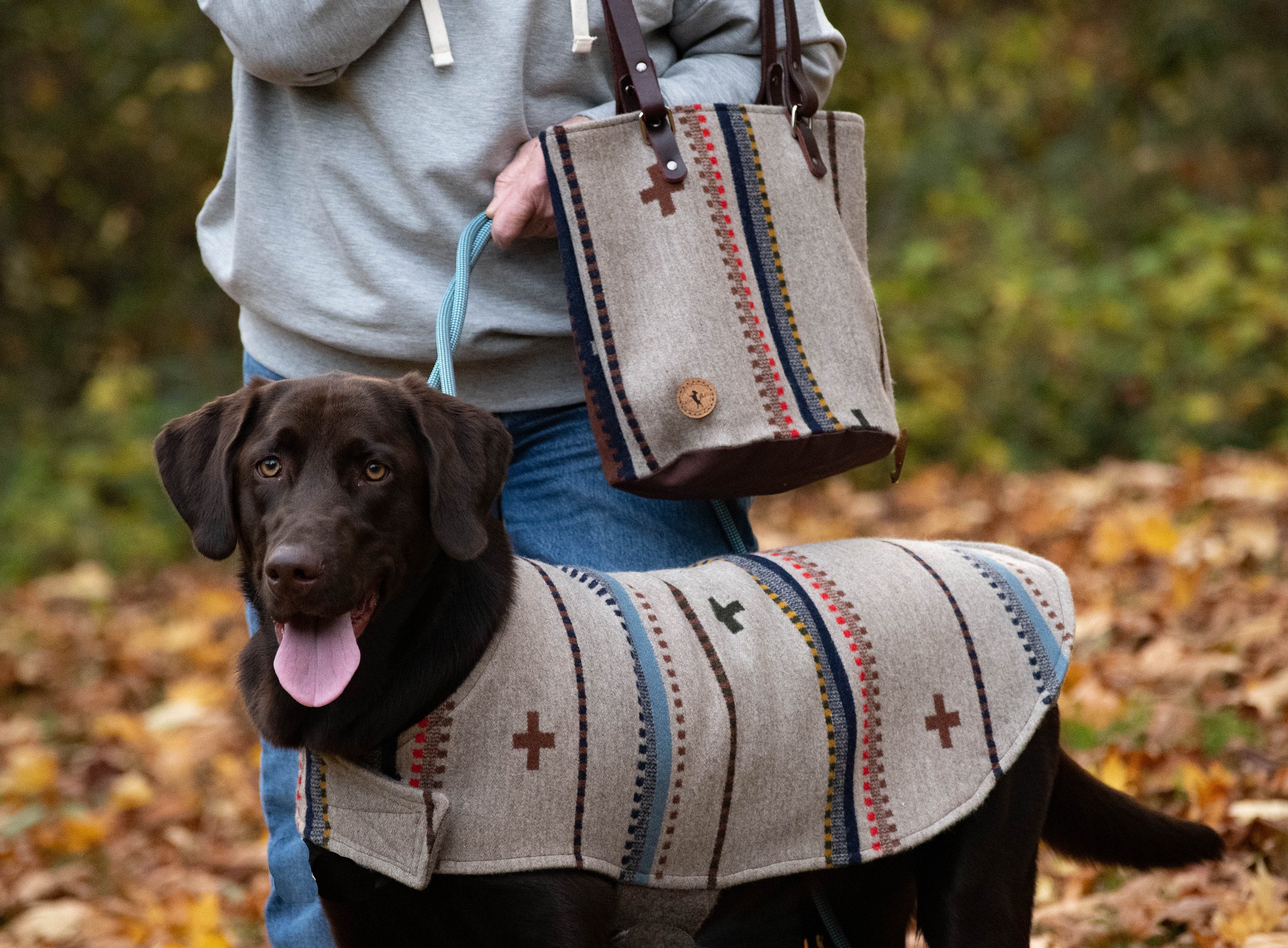 pendleton wool dog coat