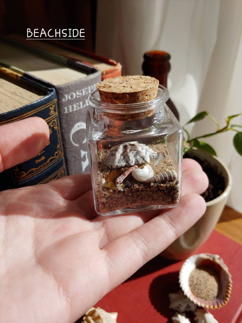 Sand, Shells, & Sea Terrarium Kits Decorative Ecosystems in A Bottle Etsy