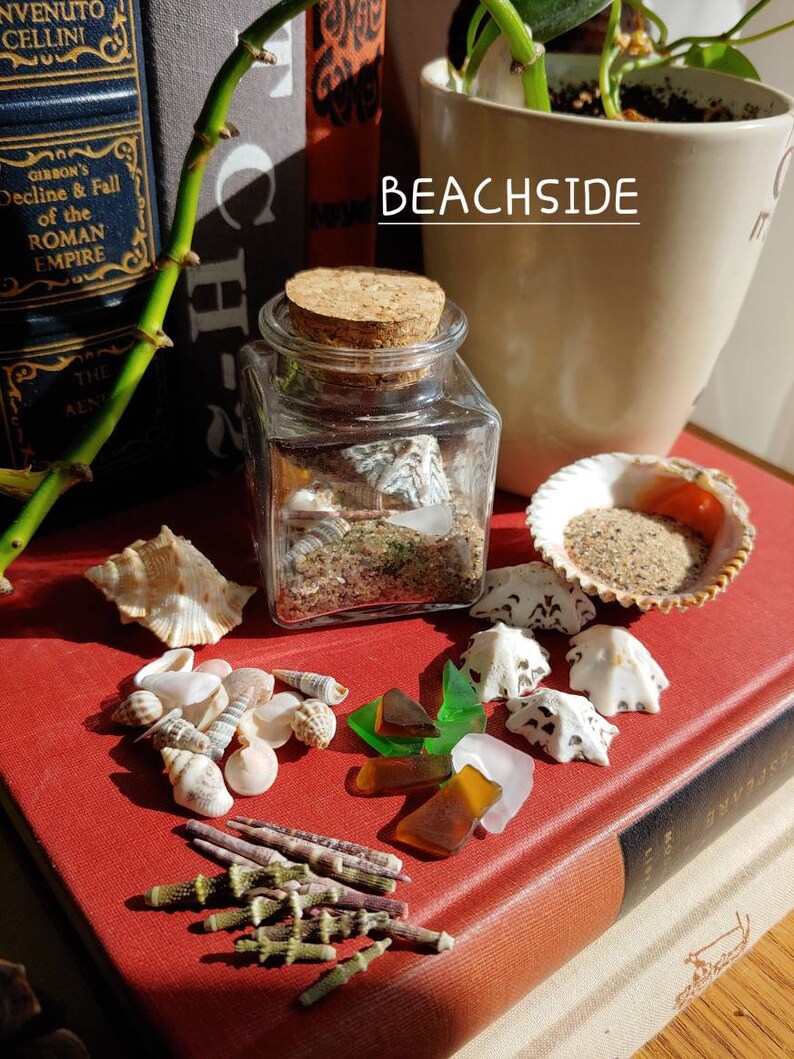 Sand, Shells, & Sea Terrarium Kits Decorative Ecosystems in A Bottle Etsy