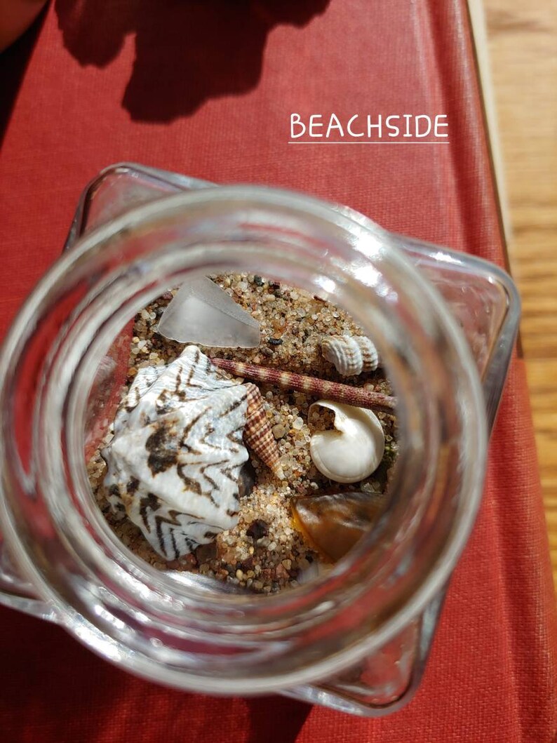 Sand, Shells, & Sea Terrarium Kits Decorative Ecosystems in A Bottle Etsy