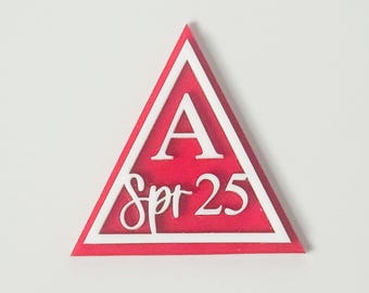 Delta Sigma Theta Acrylic Sorority Lapel Pin | Chapter Gift