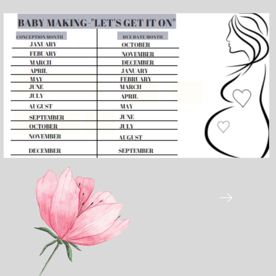 Printable Pregnancy Planner, Fertility Tracker Planner, Conception ...