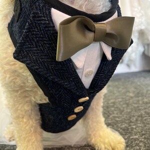 Wedding suit harness for Dogs male/female image 6