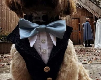 Harnais de costume de mariage pour chiens mâle/femelle